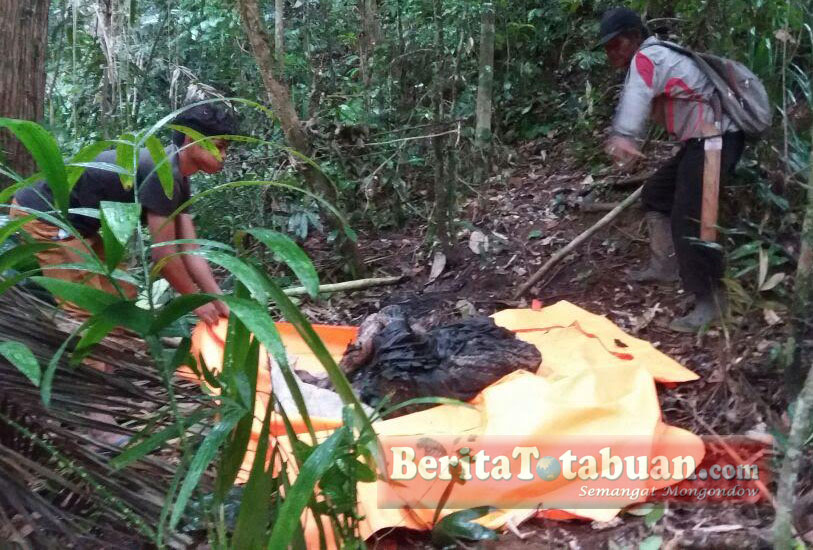 Mayat Tanpa Identitas Ditemukan di Taman Nasional Bogani Nani Wartabone