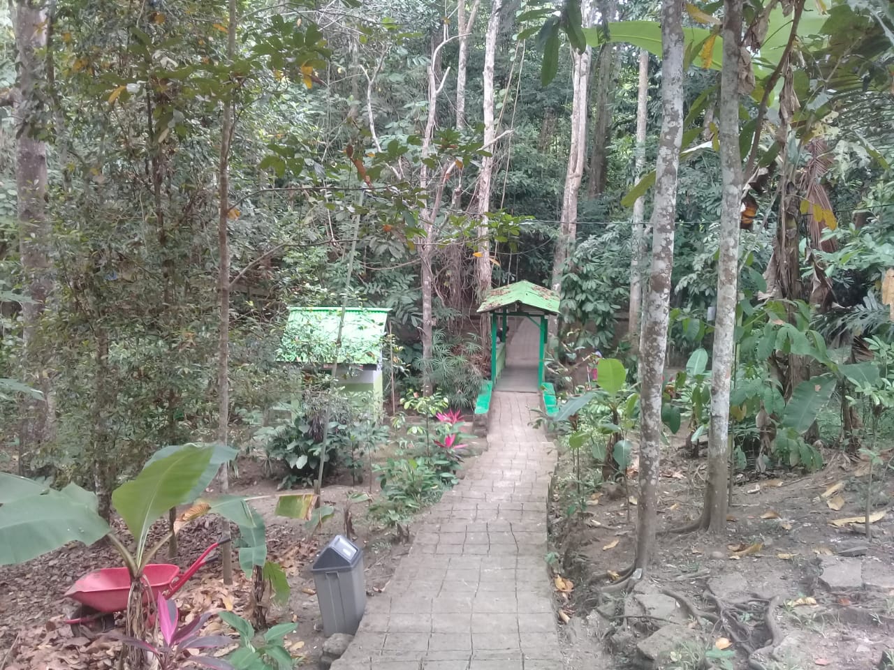 Maksimalkan Potensi Wisata di Hutan Kota Bonawang, Ini Yang Dilakukan Pemerintah