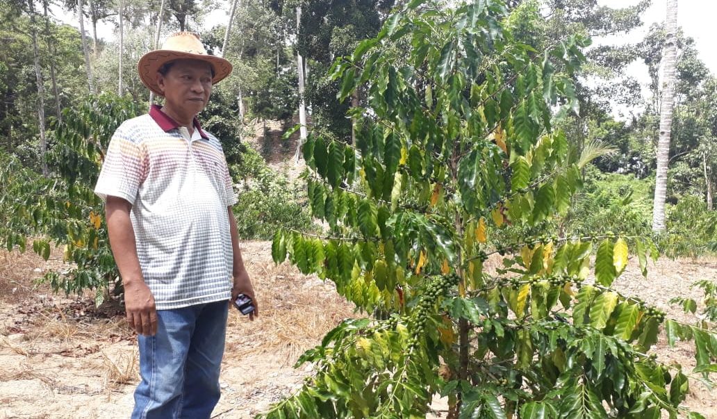 Papa Da’, Warga Poybes Yang Kembangkan 21 Ribu Pohon Kopi Aceh