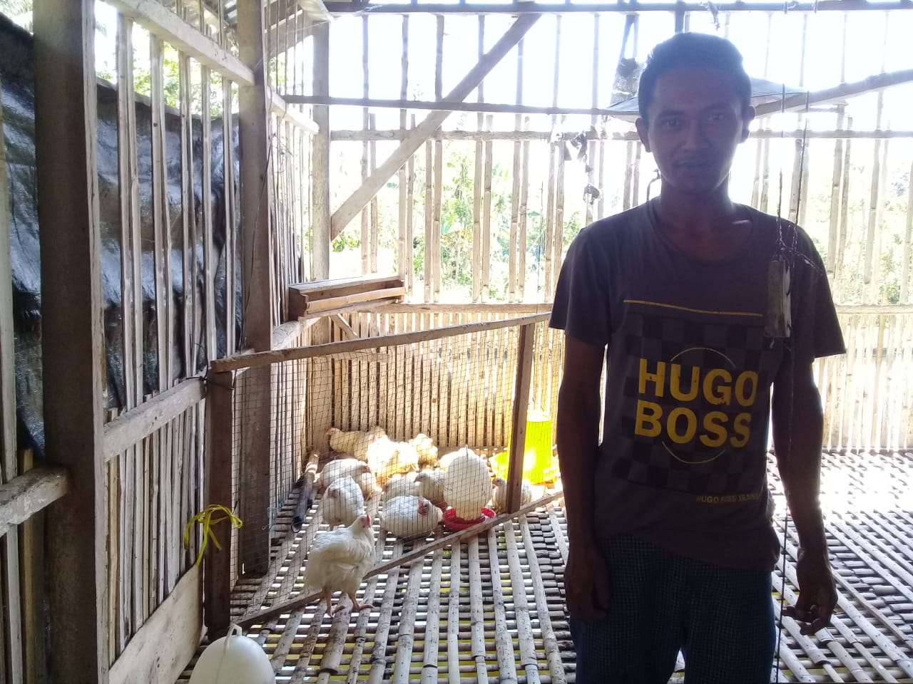 Bisnis Ayam Potong, Pemuda Asal Biga Ini Raup Untung Puluhan Juta Sekali Panen