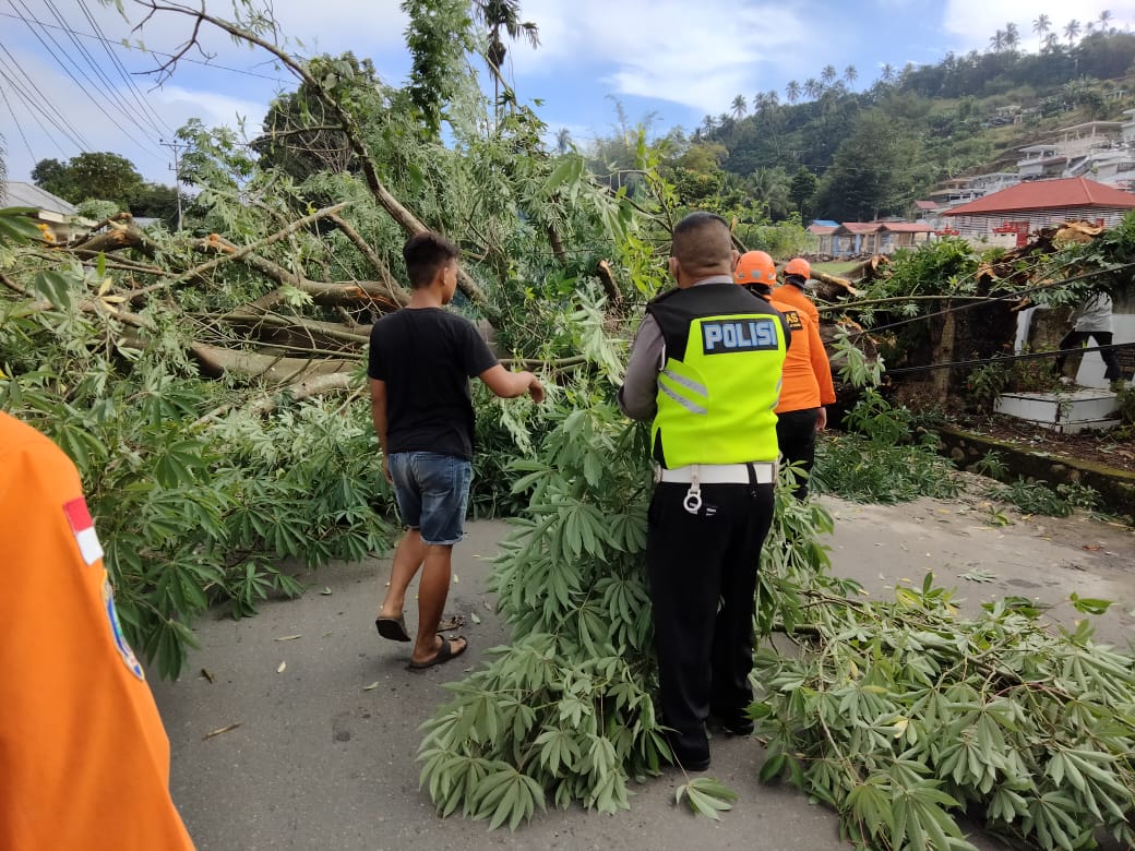 Polres Kotamobagu Bantu Warga Bersihkan Pohon Tumbang Yang Tutupi Ruas Jalan