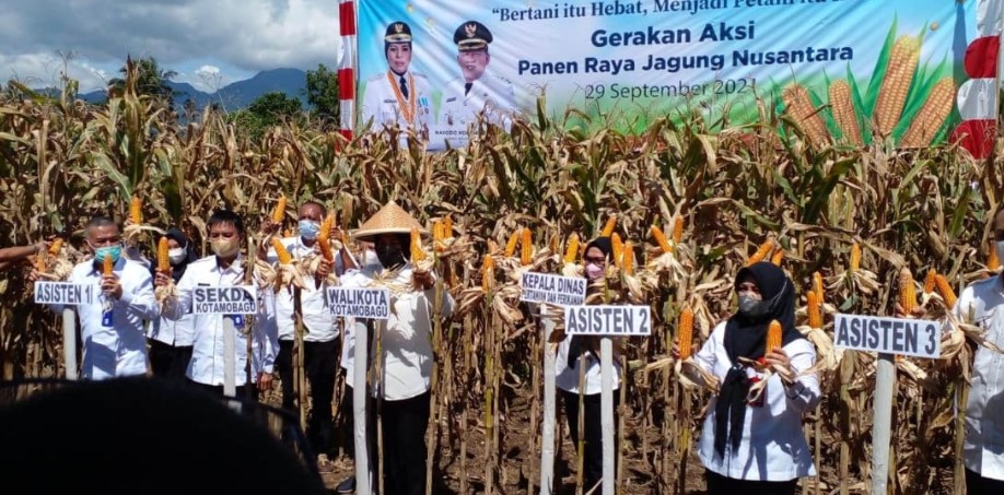 Wali Kota Tatong Bara Ikuti Aksi Panen Raya Jagung Nusantara se Indonesia