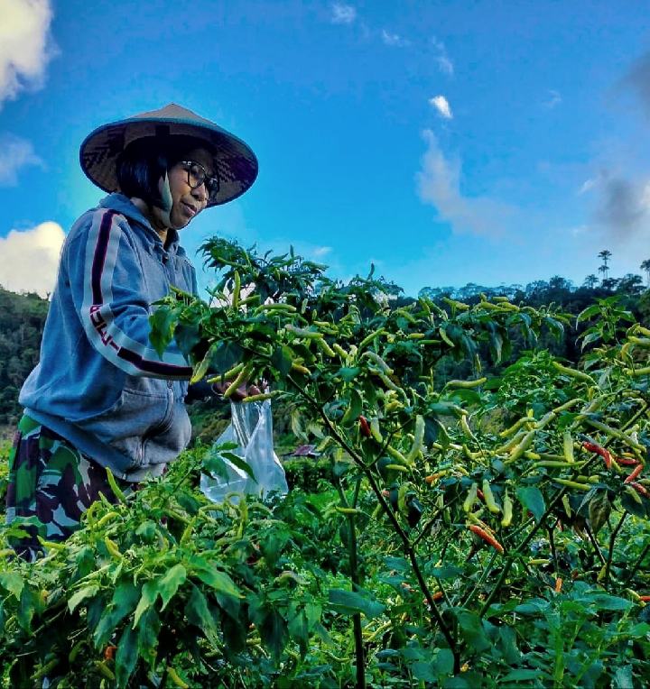 Bicara Potensi Perkebunan Hortikultura, Yasti : Bolmong Tak Kalah Dengan Daerah Lain