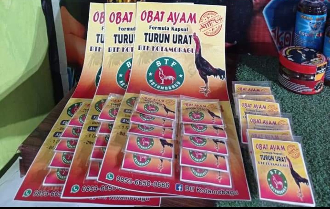 Obat Ayam Turun Urat Produksi BTF Kotamobagu Mulai Dijual ke Peternak