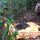 Mayat Tanpa Identitas Ditemukan di Taman Nasional Bogani Nani Wartabone