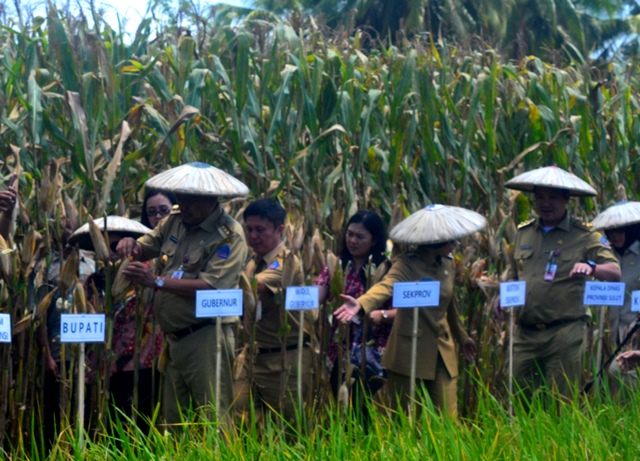 Kelompok Tani Bolmong Terima Bantuan Bibit dan Alsintan Dari Gubernur Sulut