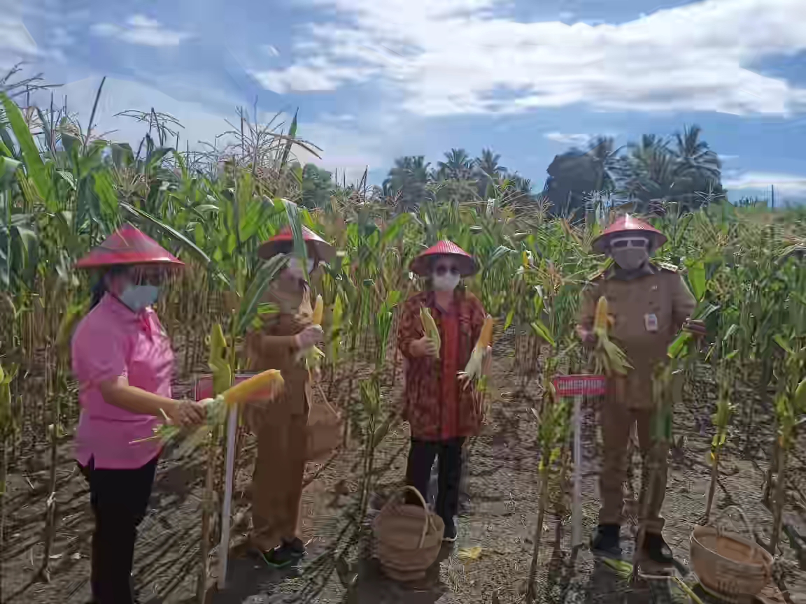 Di Bawah Kepemimpinan Yasti, Pemkab Bolmong Terus Dorong Pengembangan Sektor Agribisnis