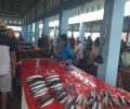 Dari 81 Pedagang Pasar Ikan, 79 Sudah Menempati Pasar Genggulang