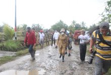 Bantuan Bibit Pertanian Untuk Wilayah Terdampak Banjir Disiapkan Pemkab Bolmong