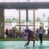 Boltim Kembali Raih Medali Emas Dari Cabang Atlet Wushu 52 Kg