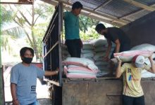 Penyaluran Benih Jagung Oleh Dinas Perkebunan Pemkab Bolmong