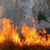 Bolmong Siaga Bencana Kebakaran Hutan dan Lahan