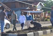 Pemkab Bolmong Percantik Kota Lolak Dengan Menanam Bunga (2)
