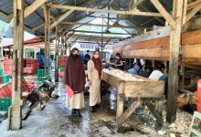 Potensi pengolahan daging kelapa pilihan di Kotamobagu