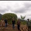 Polres Tapanuli Utara Tindaklanjuti Laporan Warga Soal Ilegal Logging