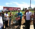Wali Kota Asripan Nani Pimpin Panen Cabe Rawit di Bukit Ilongkow