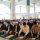 Wali Kota Asripan Nani Sholat Idul Adha di Masjid Agung Baitul Makmur